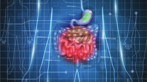  X-ray of GI tract 