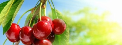 When hay fever and food allergies collide-1